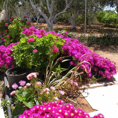 Апарт-отель Remvi Пунда