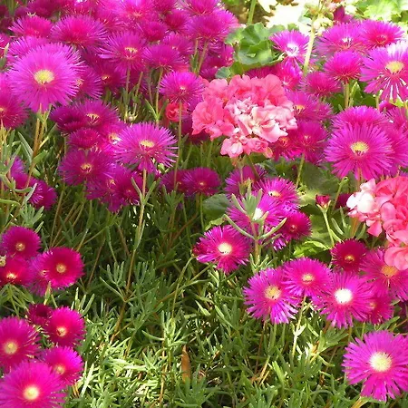 Апарт-отель Remvi 3*