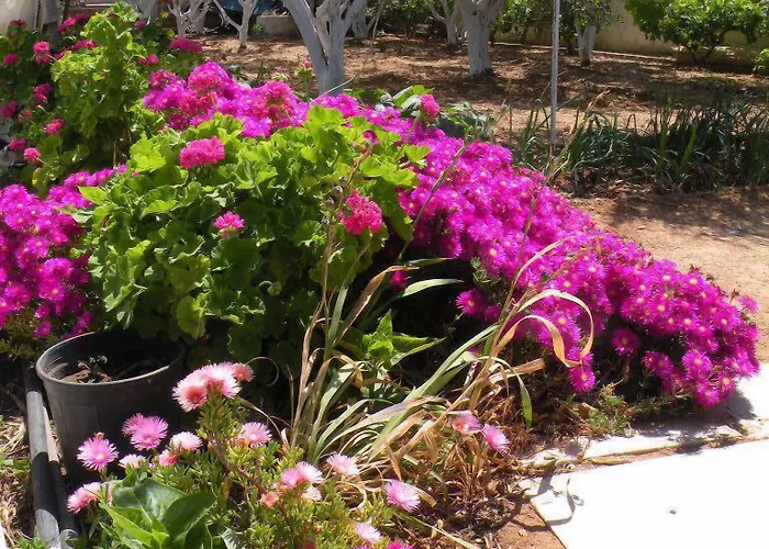 Aparthotel Remvi Pounda