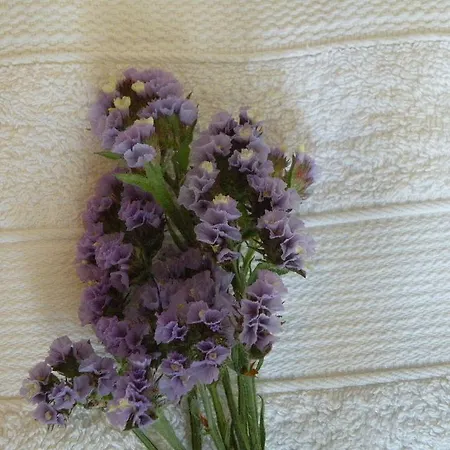 Remvi Studios Aparthotel Pounda