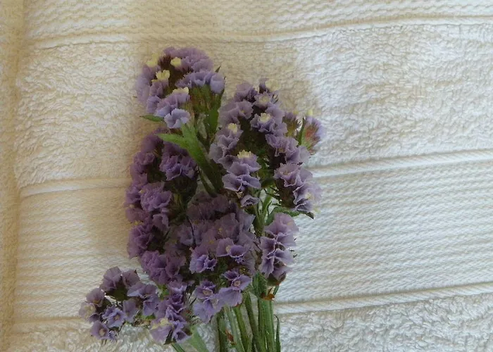 Remvi شقة فندقية Pounda