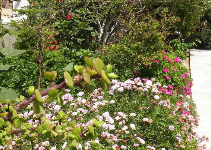 Remvi شقة فندقية Pounda