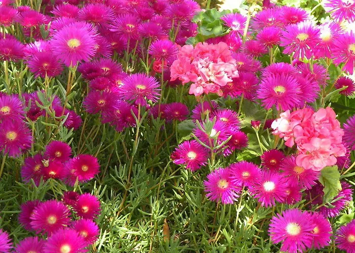 شقة فندقية Remvi 3*